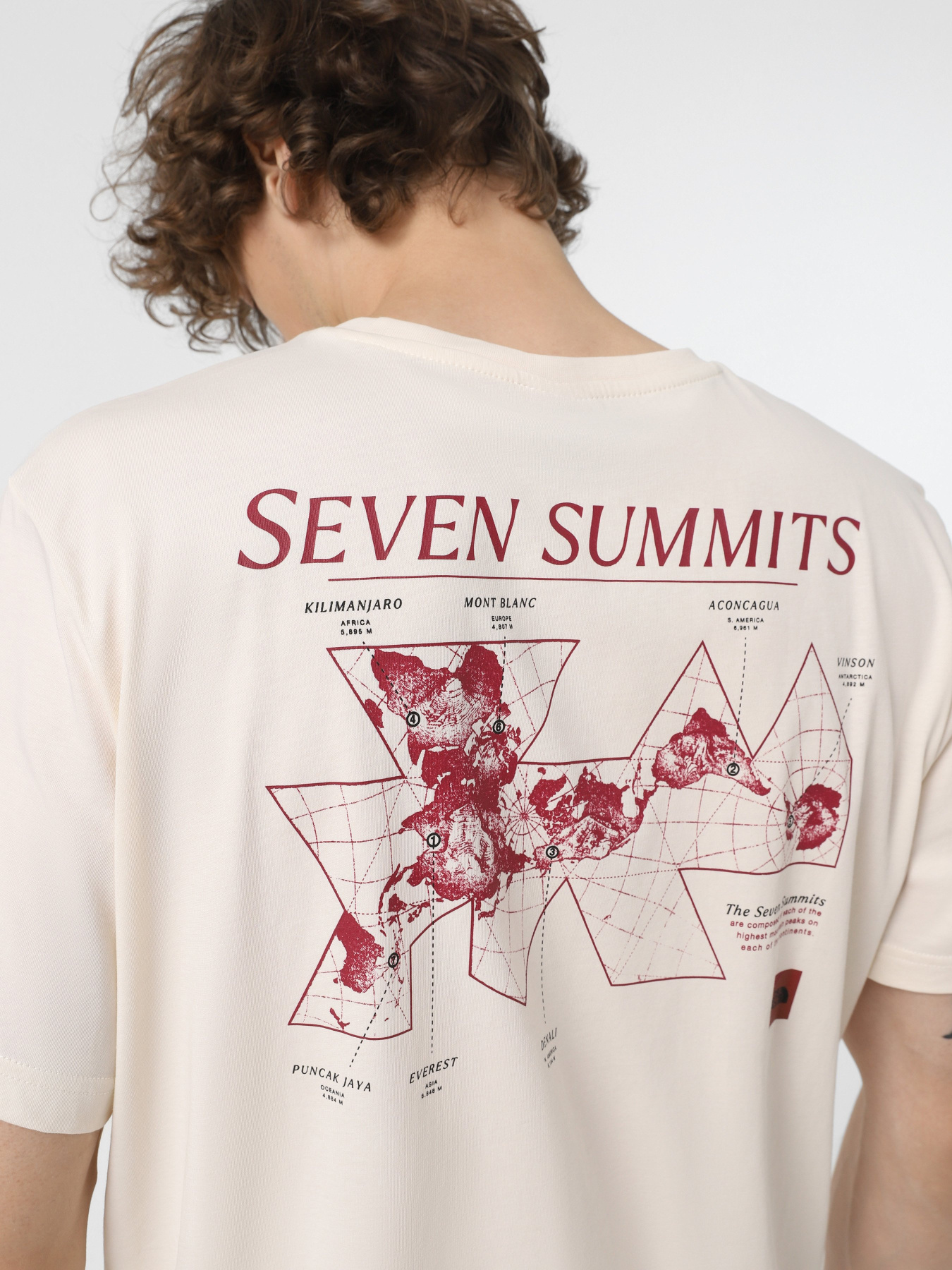 Футболка The North Face Topographic модель NF0A89DQQLI1 Фото