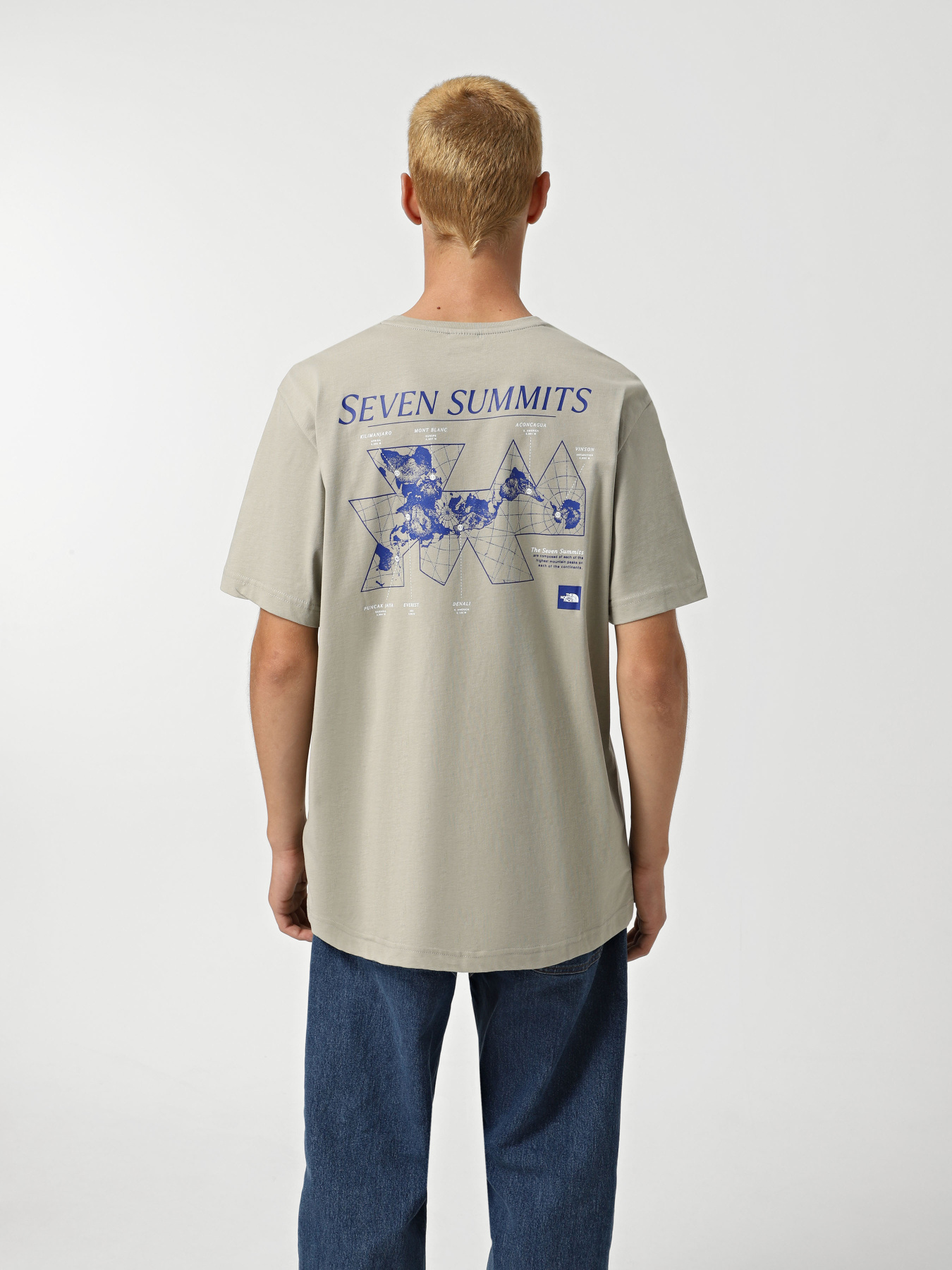 Футболка The North Face Topographic модель NF0A89DQ1I41 Фото