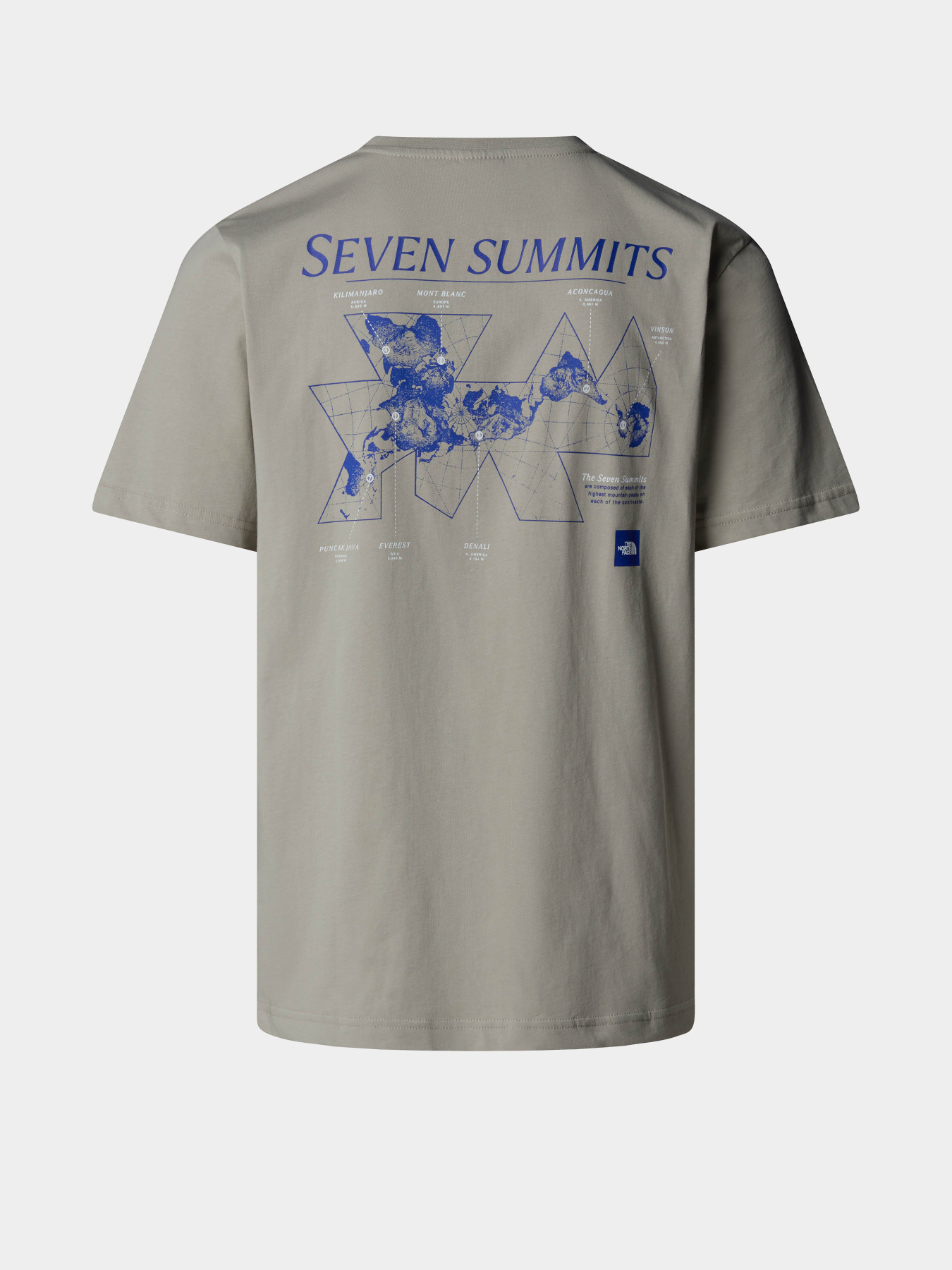 Футболка The North Face Topographic модель NF0A89DQ1I41 Фото