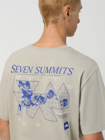 Футболка The North Face Topographic модель NF0A89DQ1I41 Фото