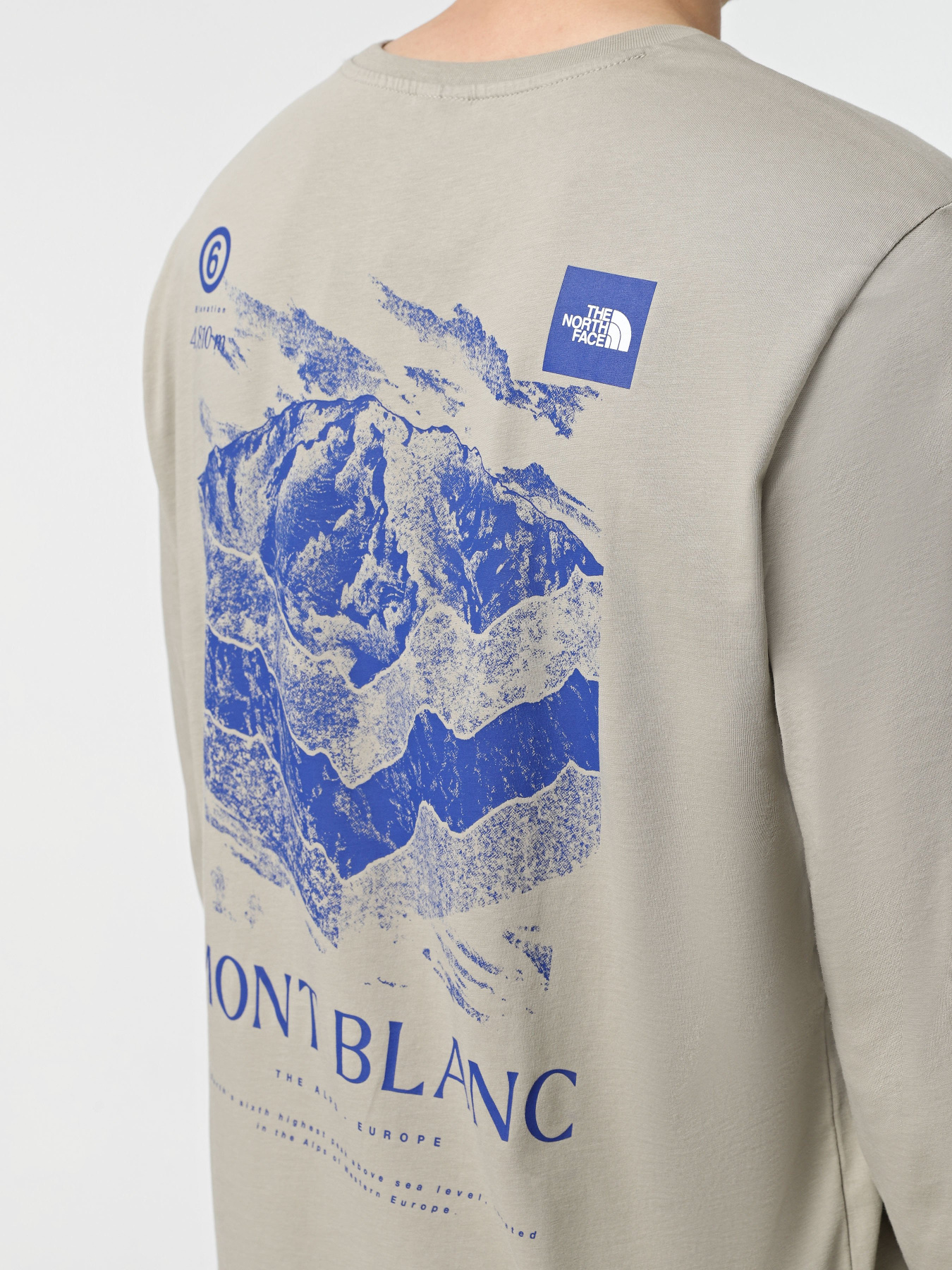 Лонгслив The North Face Logo Box модель NF0A89DR1I41 Фото