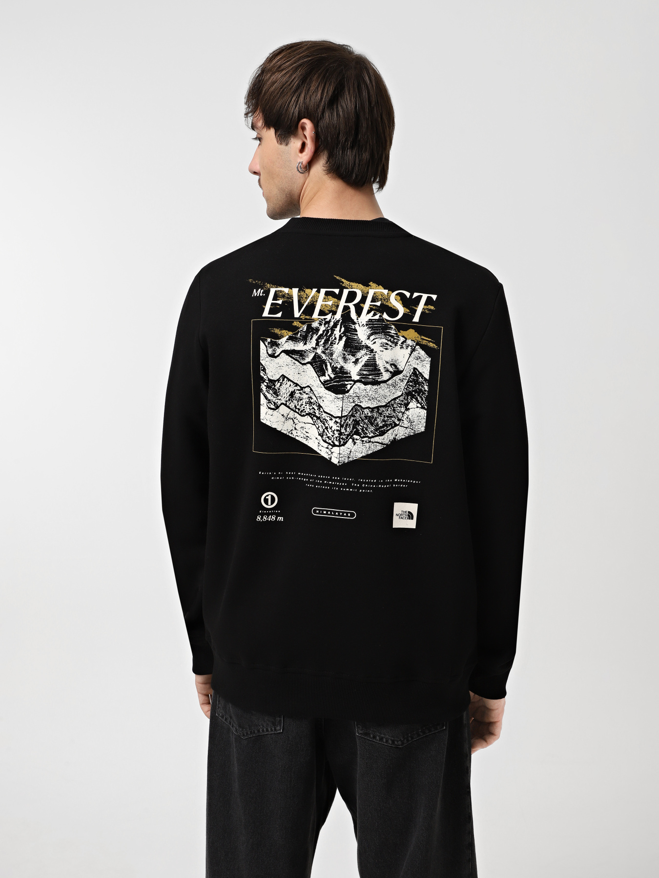 Свитшот The North Face Topographic модель NF0A89DTJK31 Фото