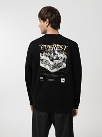 Свитшот The North Face Topographic модель NF0A89DTJK31 Фото