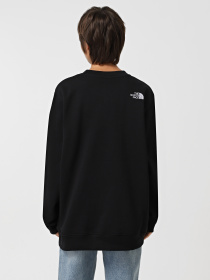 Свитшот The North Face Drew Peak Crew модель NF0A89EFJK31 Фото