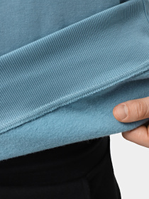 Свитшот The North Face Drew Peak модель NF0A89EK1OM1 Фото