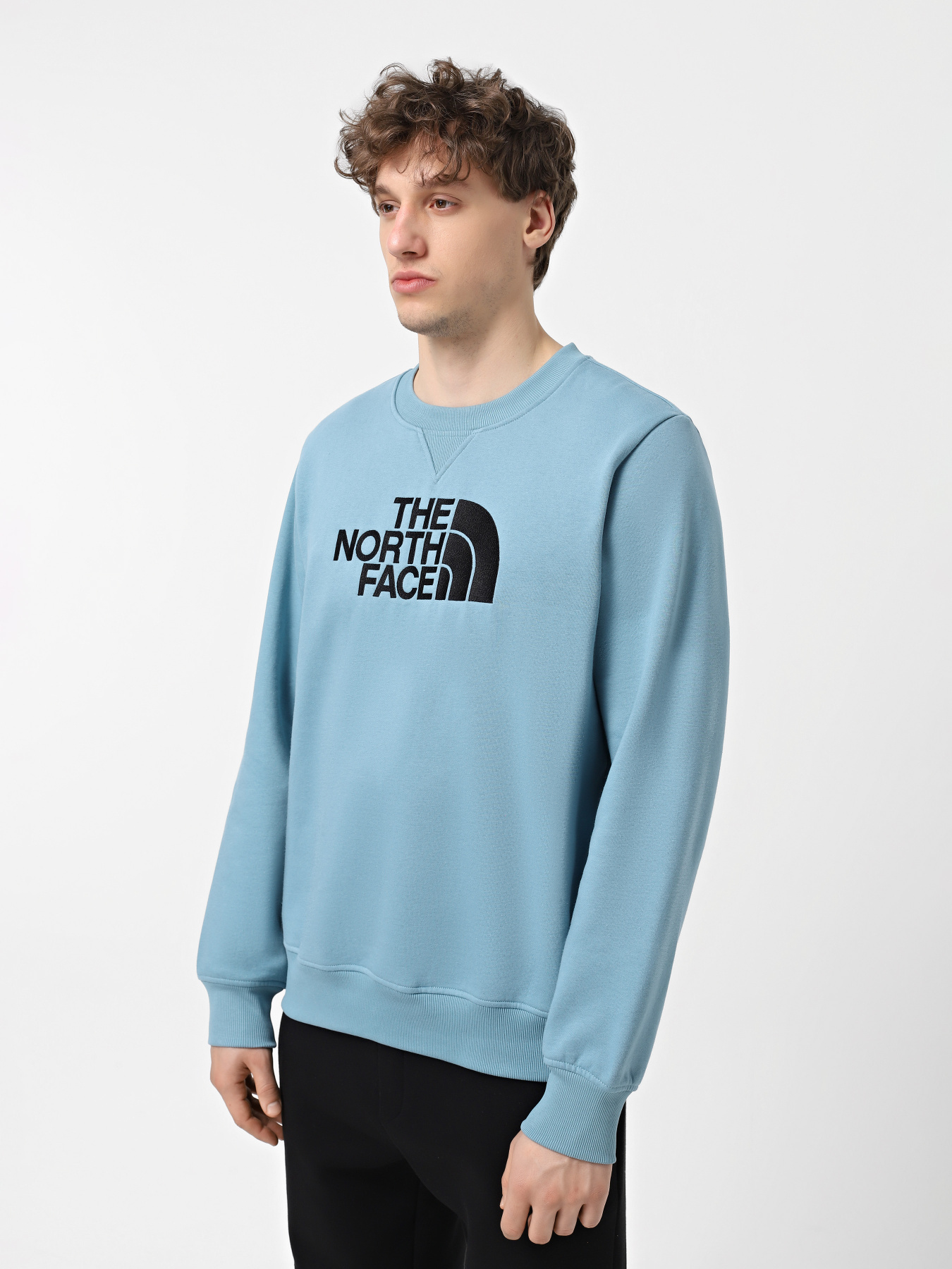 Свитшот The North Face Drew Peak модель NF0A89EK1OM1 Фото