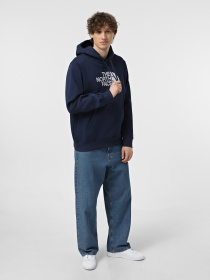 Худи The North Face Drew Peak модель NF0A89EM8K21 Фото