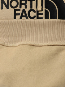 Худі The North Face Drew Peak модель NF0A89EMLK51 Фото