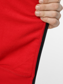 Кофта The North Face Icon модель NF0A89F6KZ31 Фото