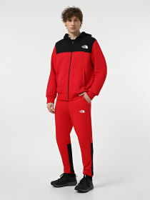 Кофта The North Face Icon модель NF0A89F6KZ31 Фото