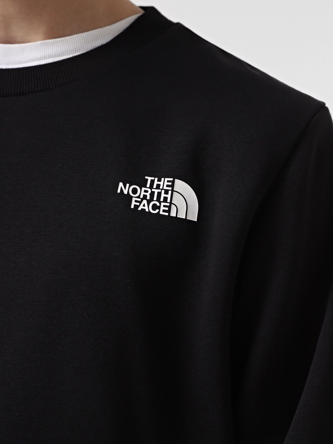 Худі та світшоти The North Face Simple Dome Crew  модель NF0A89FBJK31 Фото