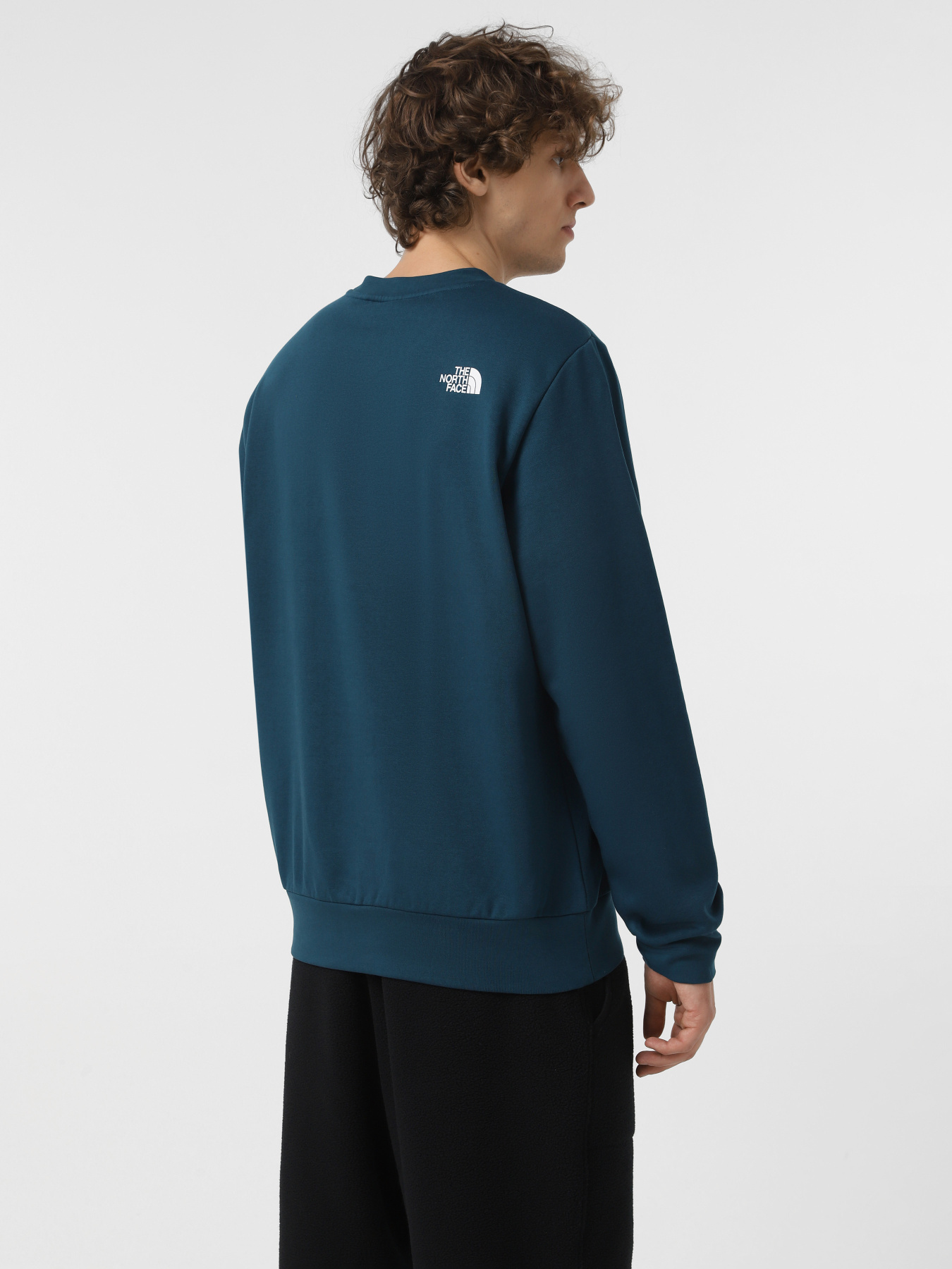 Свитшот The North Face Easy модель NF0A89FG1NO1 Фото