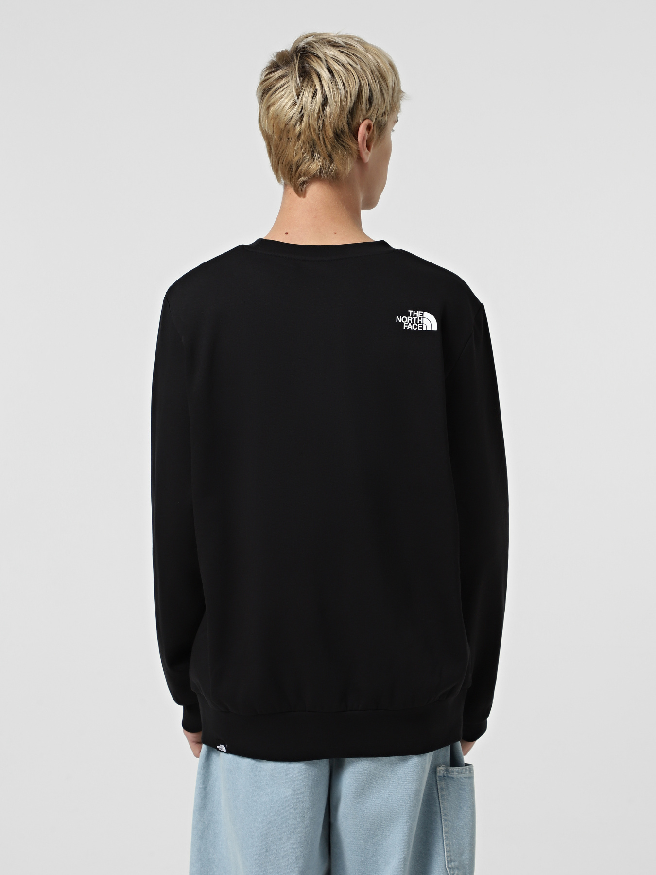 Свитшот The North Face Easy модель NF0A89FGJK31 Фото