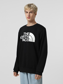 Свитшот The North Face Easy модель NF0A89FGJK31 Фото