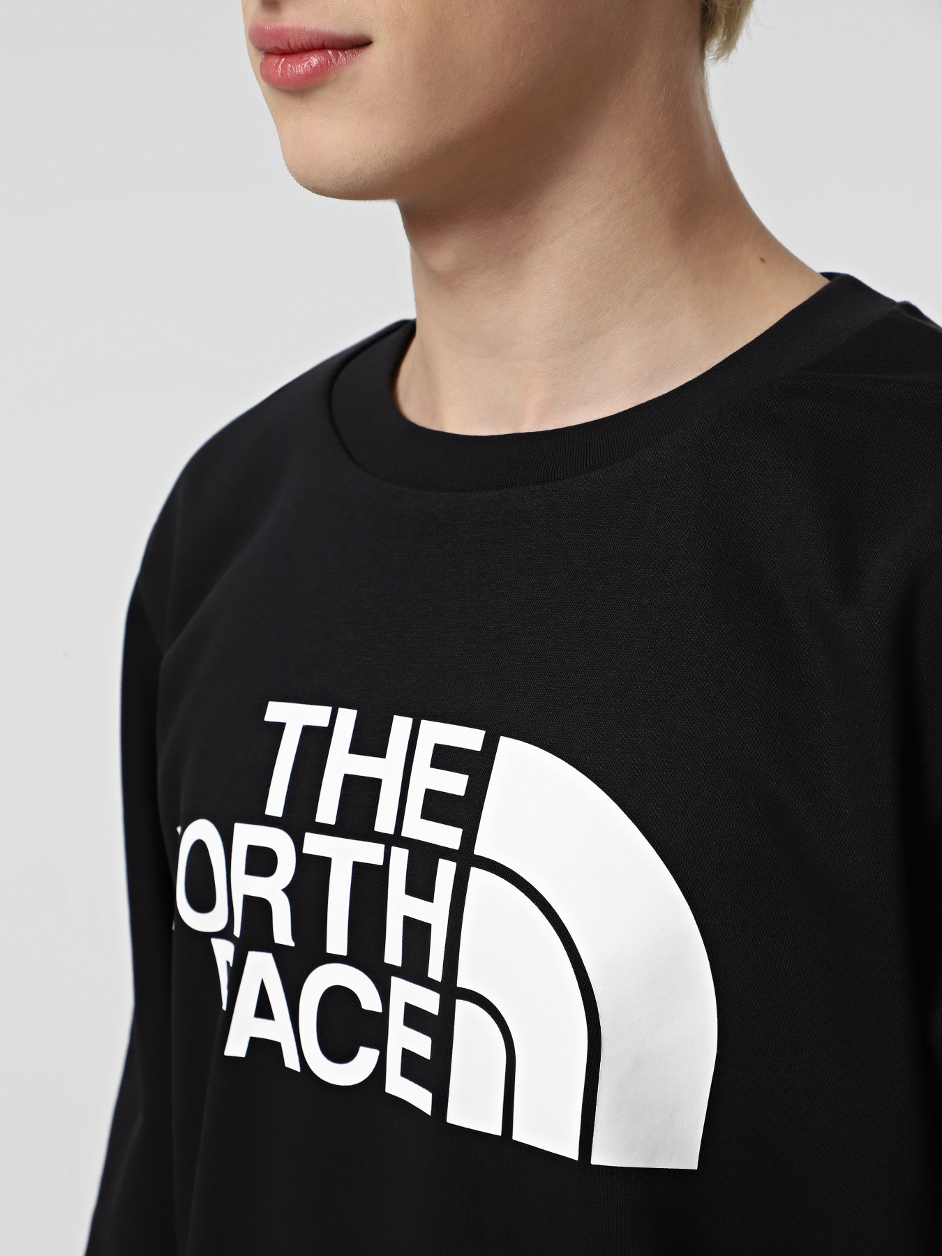 Свитшот The North Face Easy модель NF0A89FGJK31 Фото