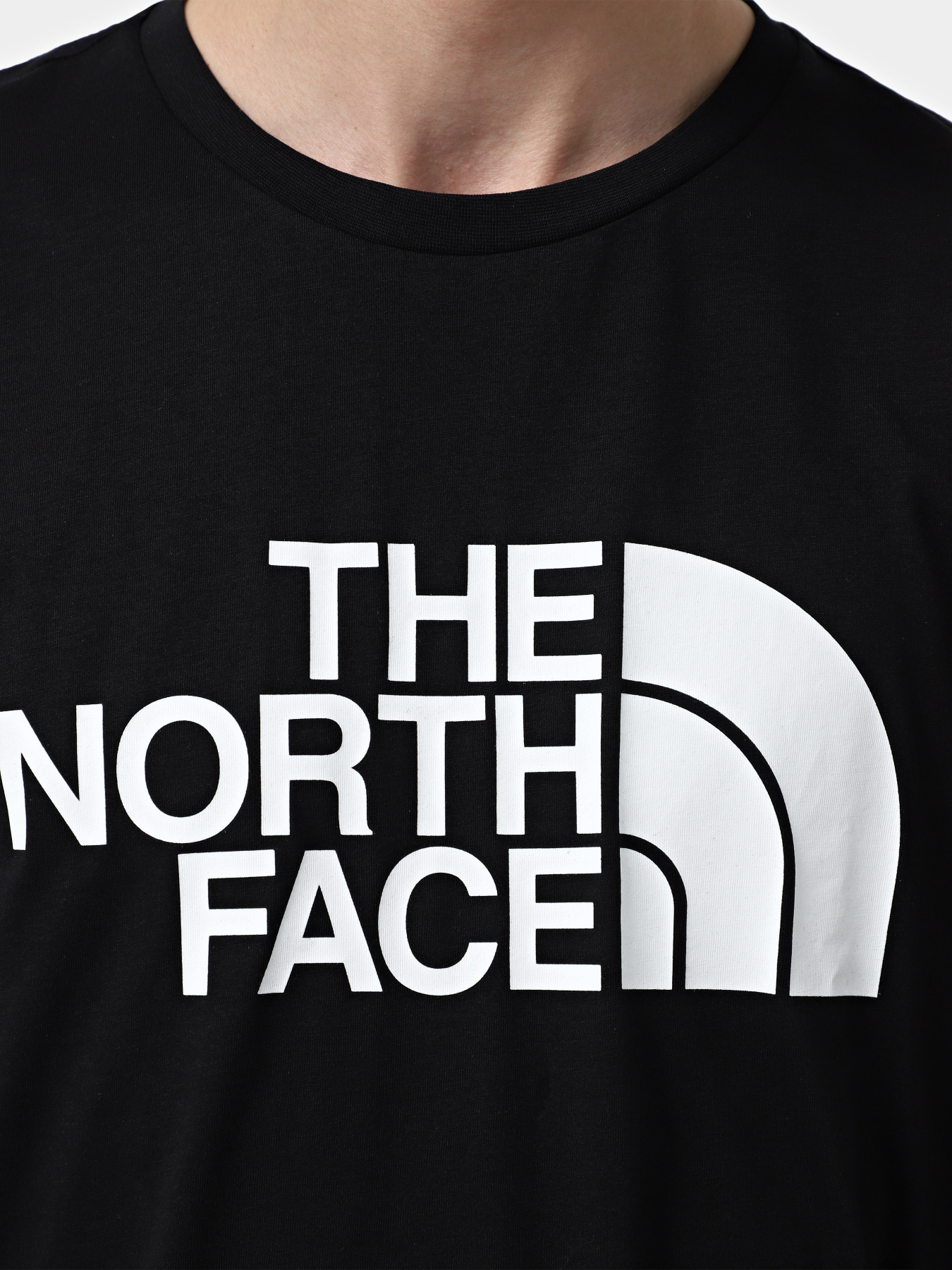 Лонгслив The North Face Half Dome модель NF0A89FNJK31 Фото