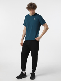 Футболка The North Face Vertical модель NF0A89FP1NO1 Фото