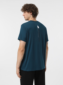 Футболка The North Face Vertical модель NF0A89FP1NO1 Фото