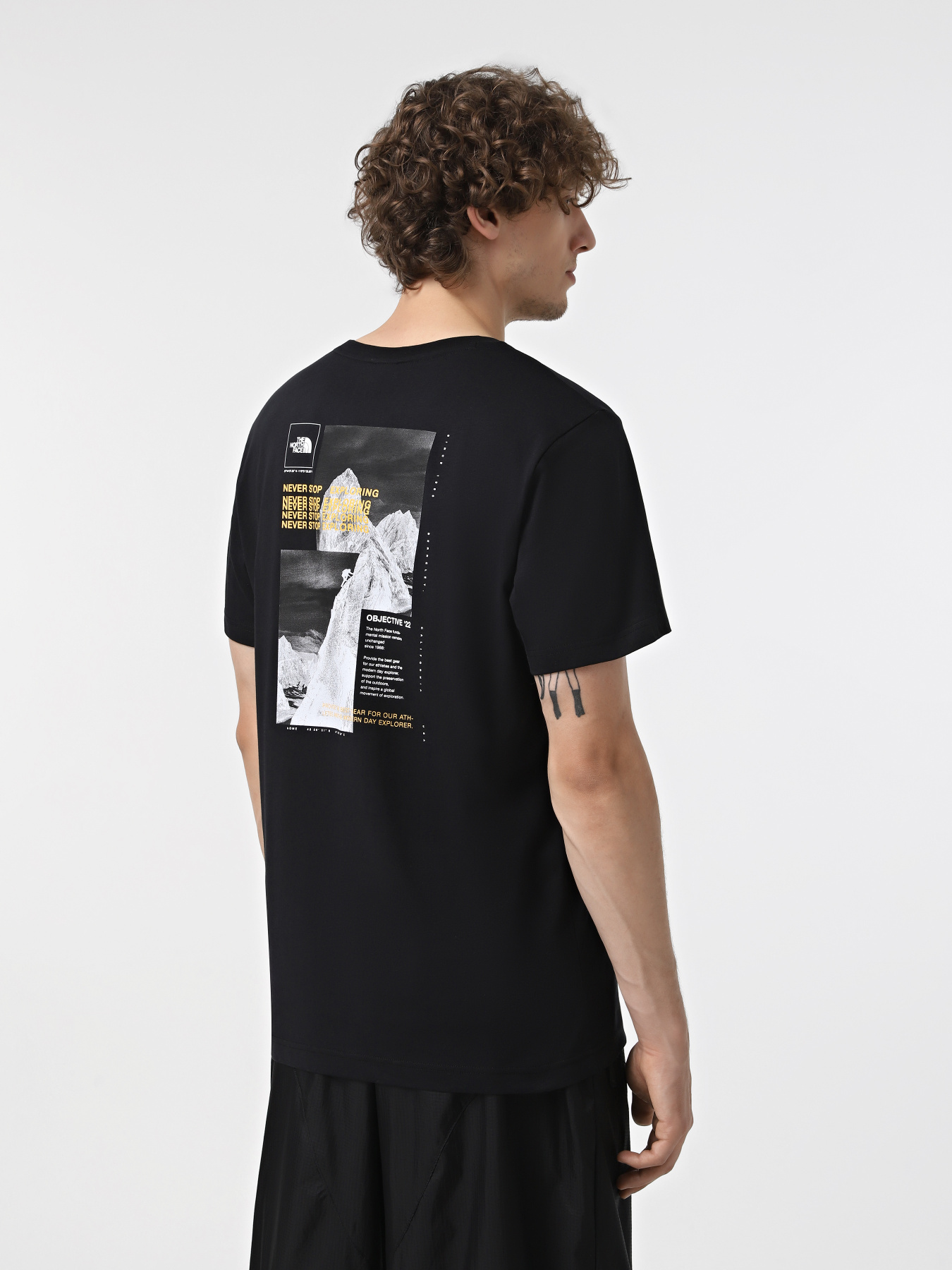 Футболка The North Face Collage модель NF0A89FRAGG1 Фото