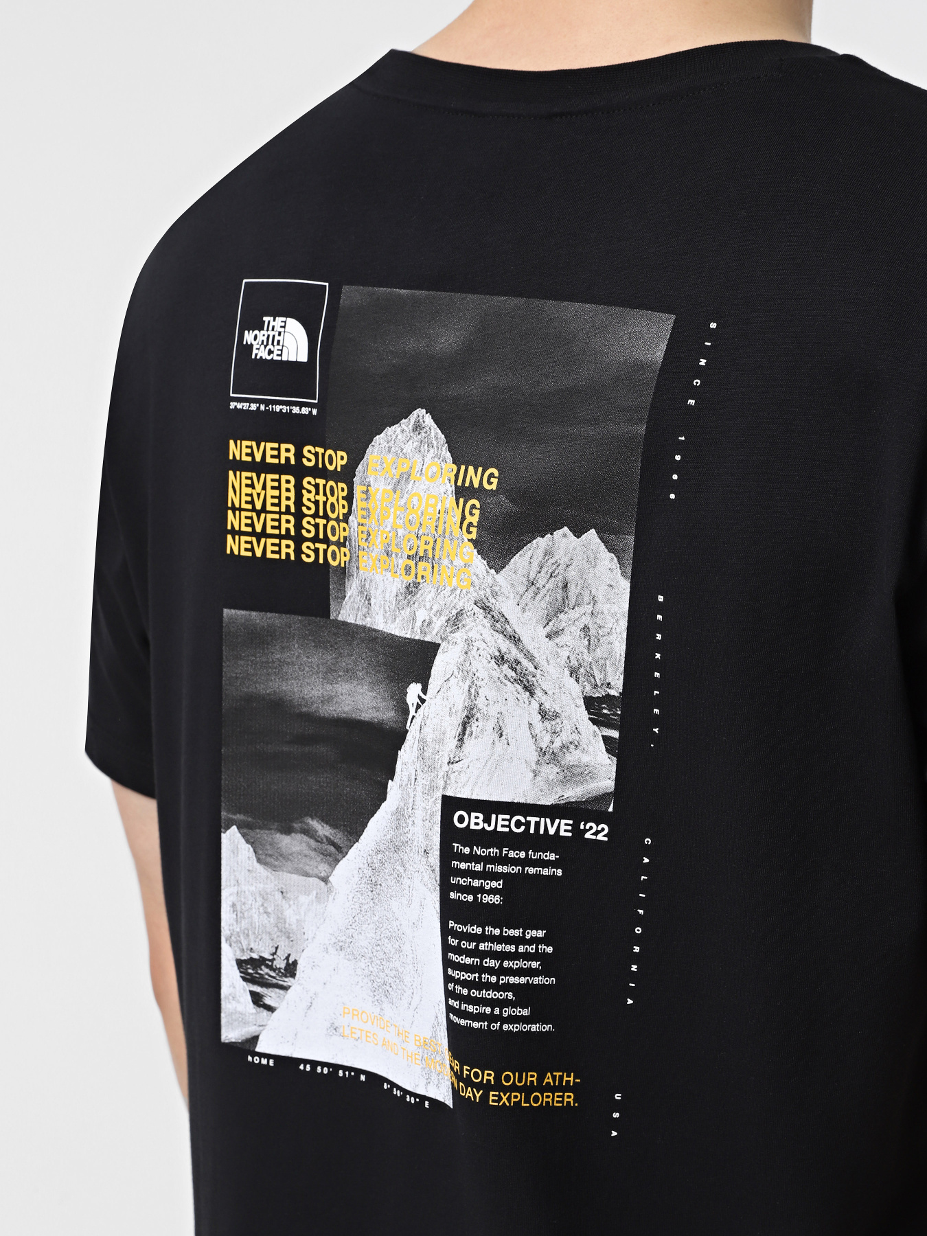 Футболка The North Face Collage модель NF0A89FRAGG1 Фото