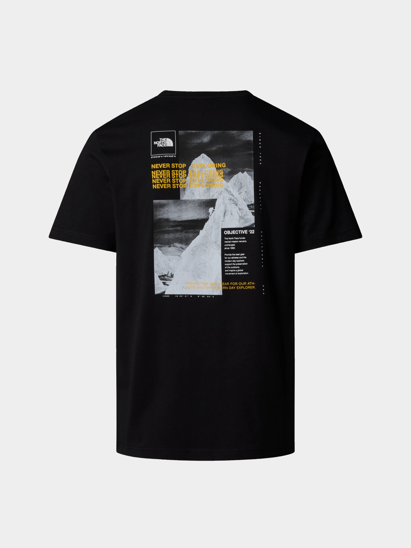 Футболка The North Face Collage модель NF0A89FRAGG1 Фото