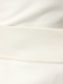 Худі The North Face Heritage модель NF0A89FVROU1 Фото