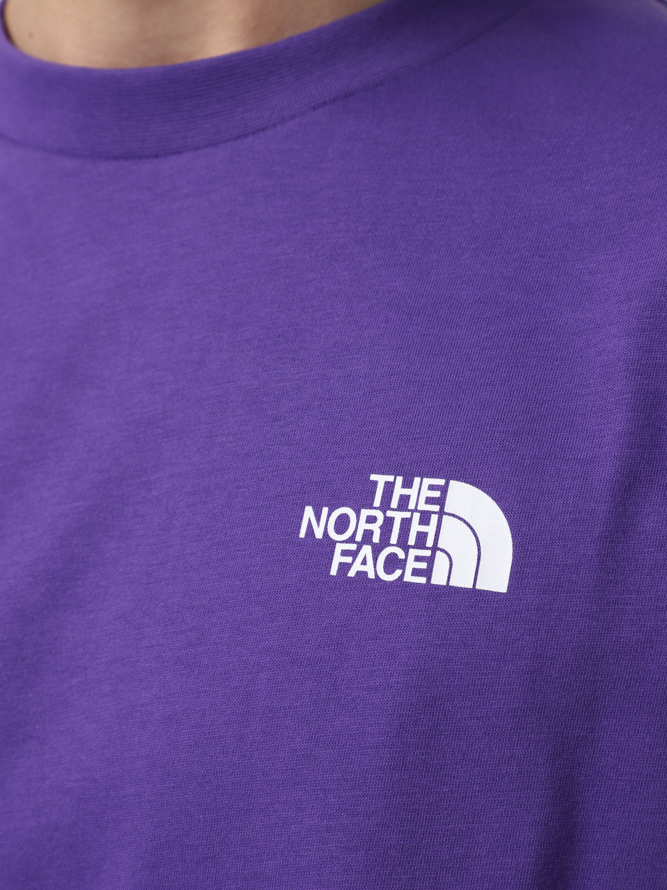 Футболка The North Face Axys модель NF0A89FYNL41 Фото