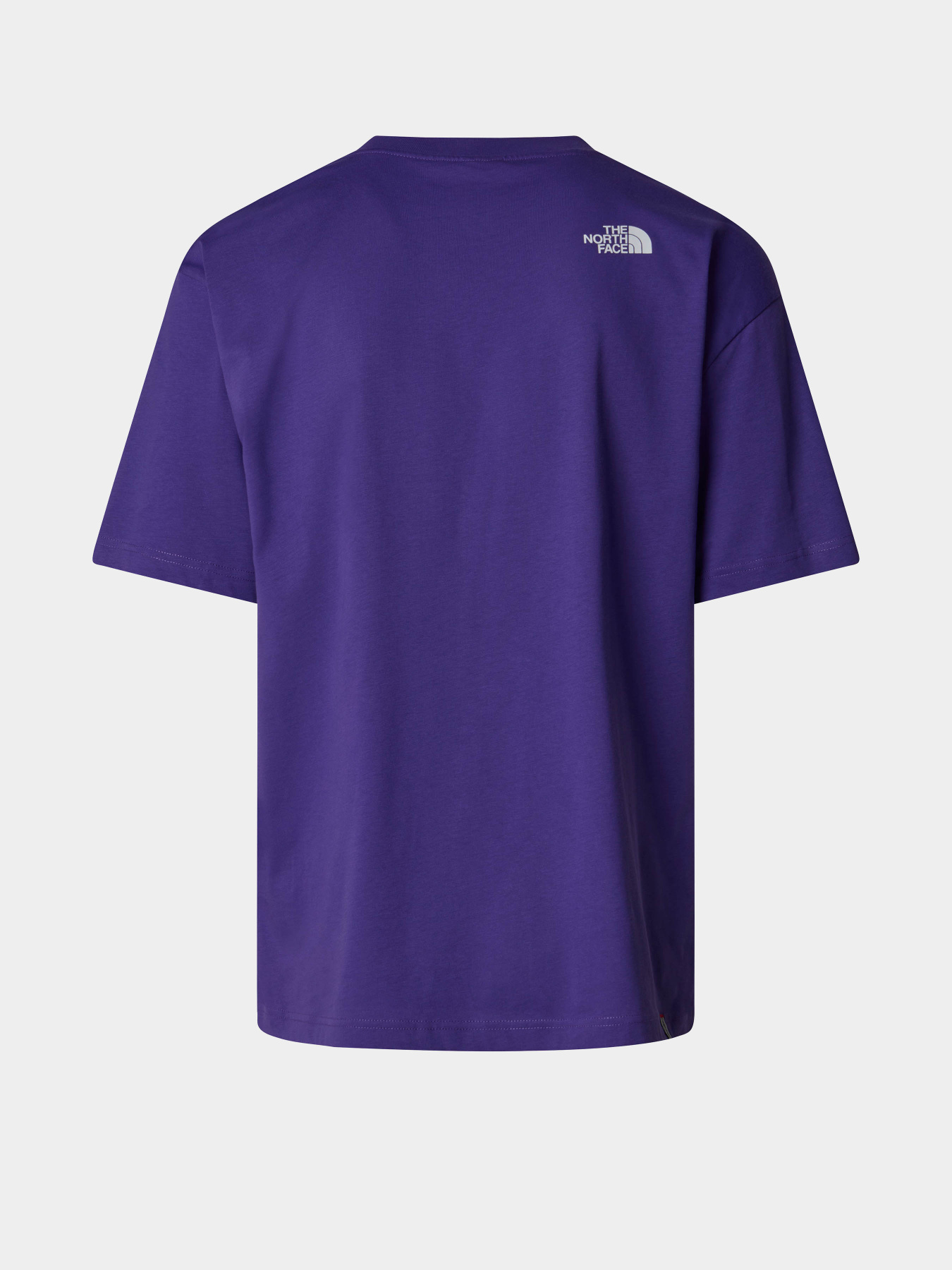 Футболка The North Face Axys модель NF0A89FYNL41 Фото