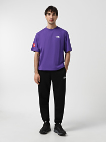 Футболка The North Face Axys модель NF0A89FYNL41 Фото