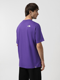 Футболка The North Face Axys модель NF0A89FYNL41 Фото