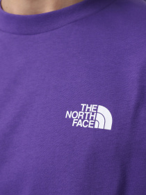 Футболка The North Face Axys модель NF0A89FYNL41 Фото