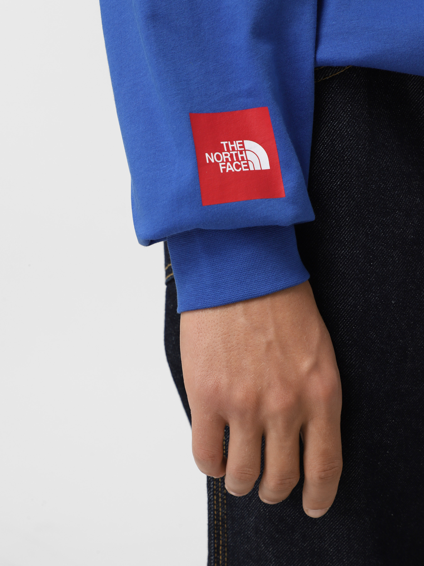 Лонгслив The North Face Axys модель NF0A89FZCZ61 Фото