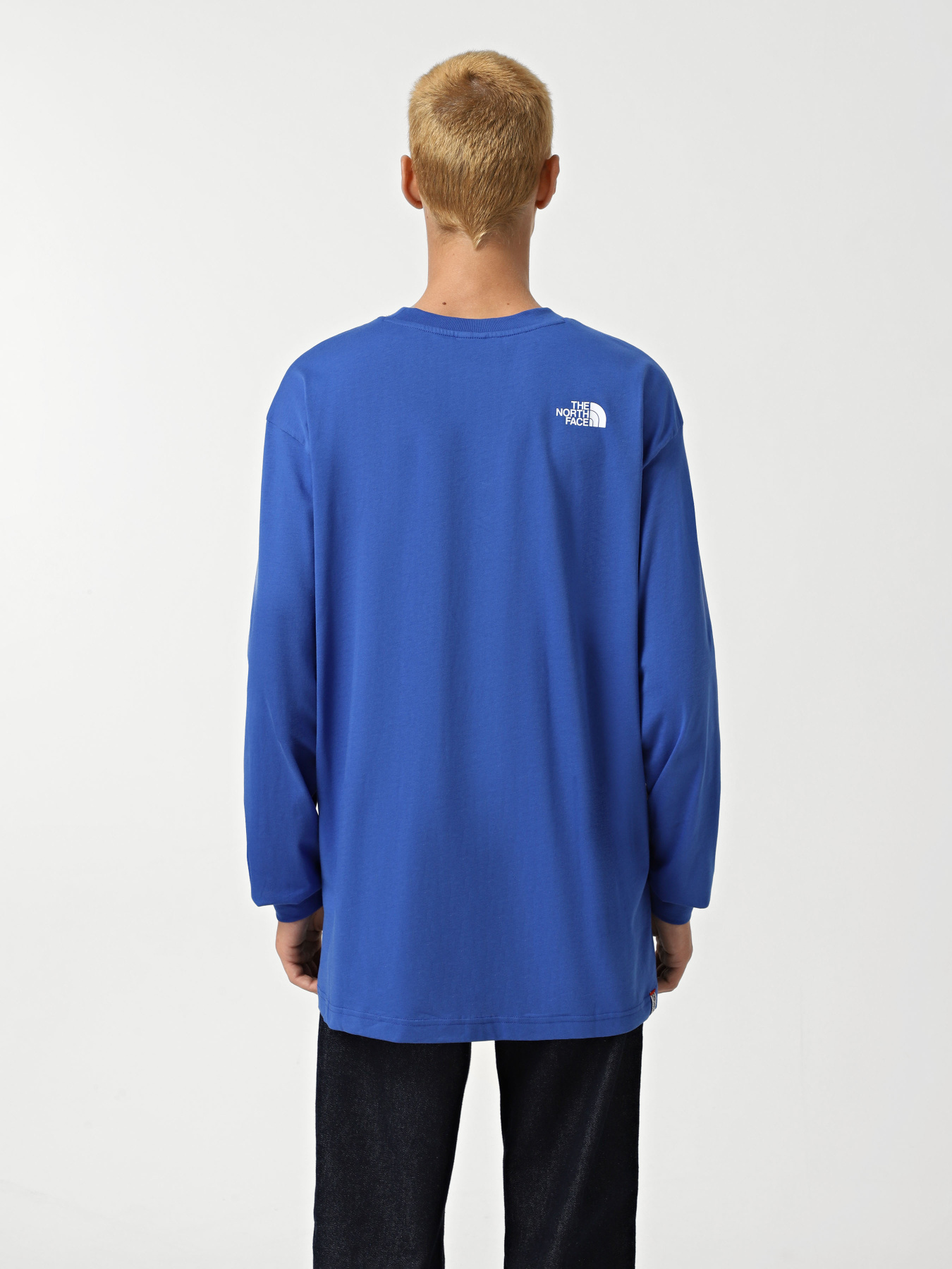 Лонгслив The North Face Axys модель NF0A89FZCZ61 Фото