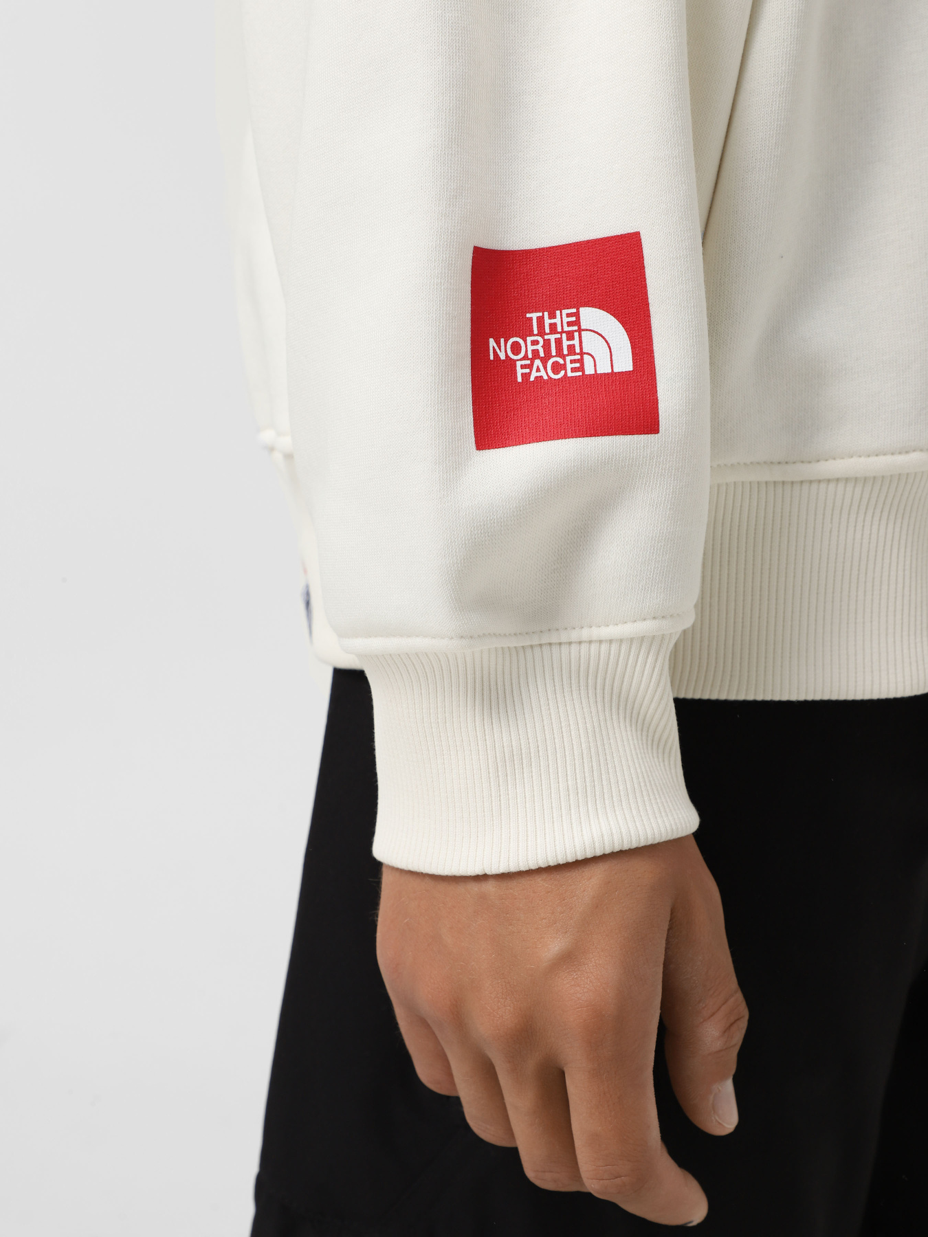 Свитшот The North Face Axys модель NF0A89G0QLI1 Фото