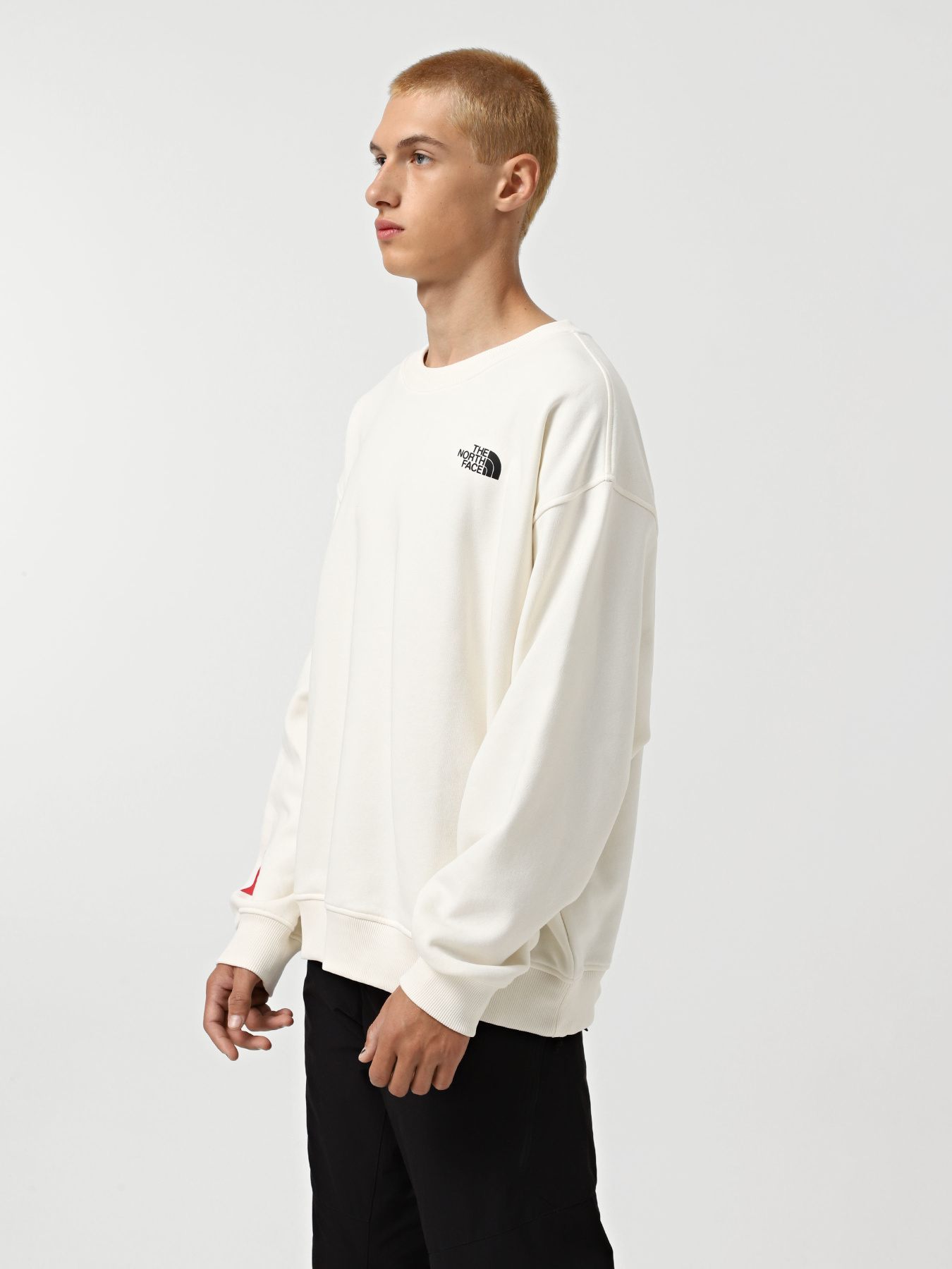 Свитшот The North Face Axys модель NF0A89G0QLI1 Фото