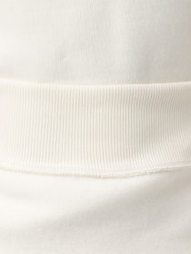 Свитшот The North Face Axys модель NF0A89G0QLI1 Фото