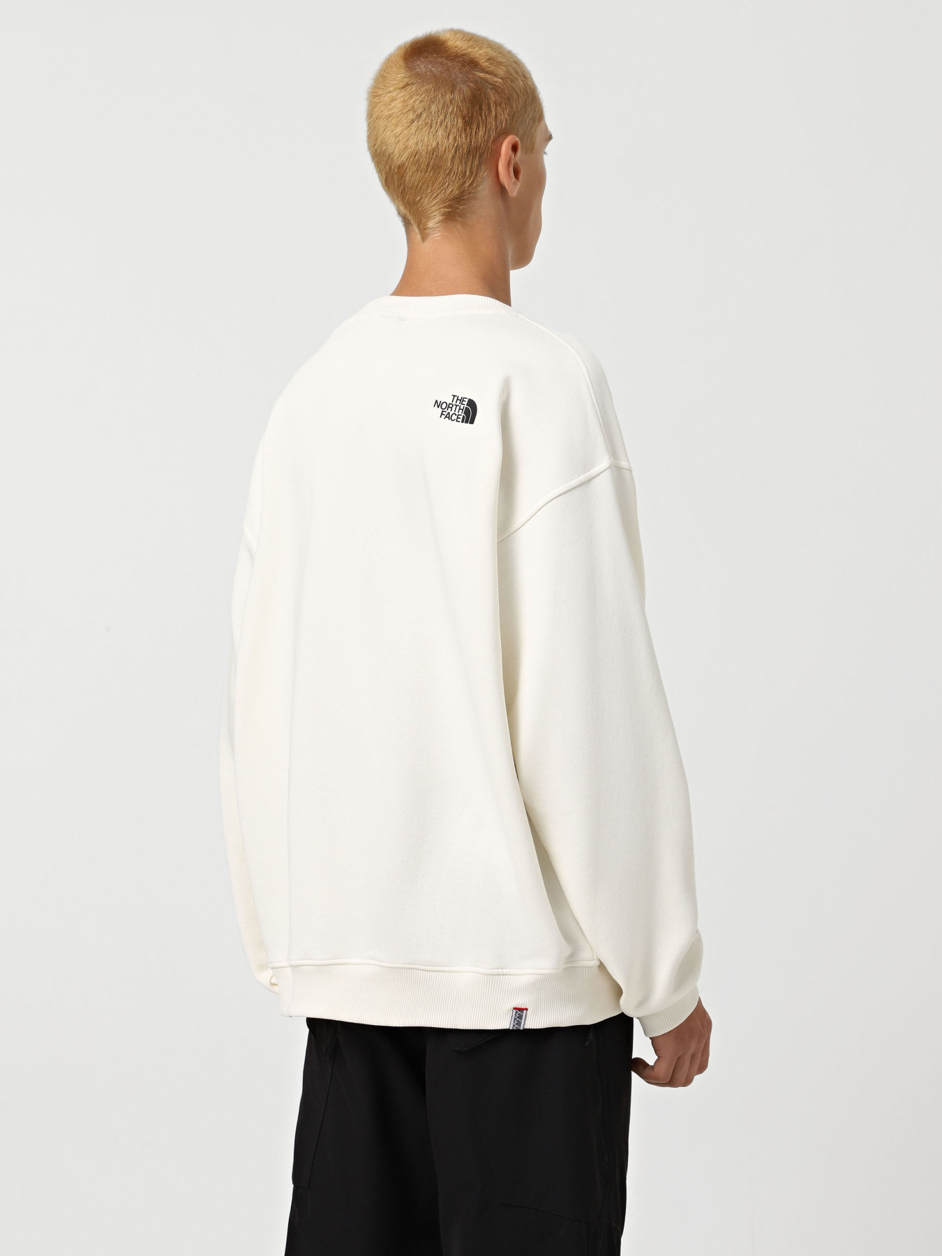 Світшот The North Face Axys модель NF0A89G0QLI1 Фото