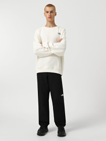 Світшот The North Face Axys модель NF0A89G0QLI1 Фото