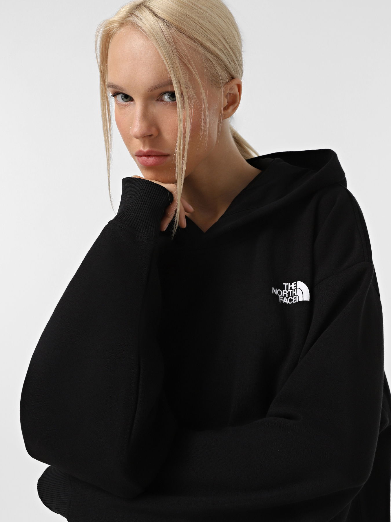 Худі The North Face Axys модель NF0A89G1JK31 Фото