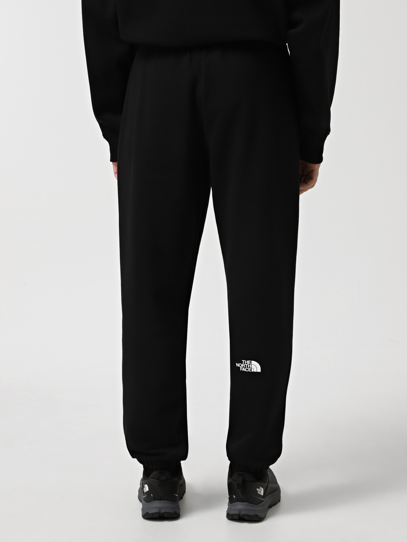 Джоггеры The North Face Axys модель NF0A89G2JK31 Фото