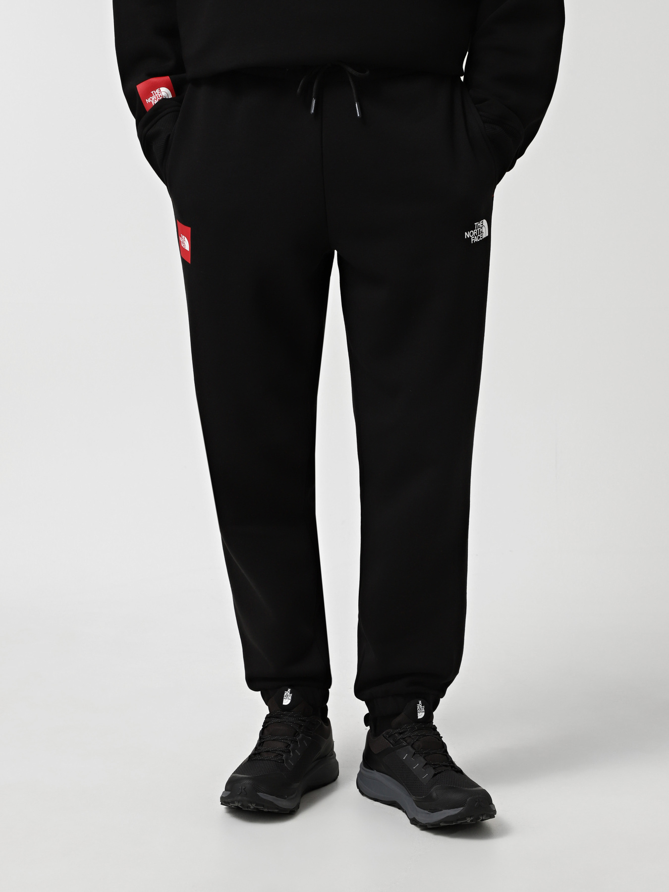 Джоггеры The North Face Axys модель NF0A89G2JK31 Фото