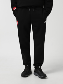 Джоггеры The North Face Axys модель NF0A89G2JK31 Джоггеры The North Face Axys модель NF0A89G2JK31 Фото