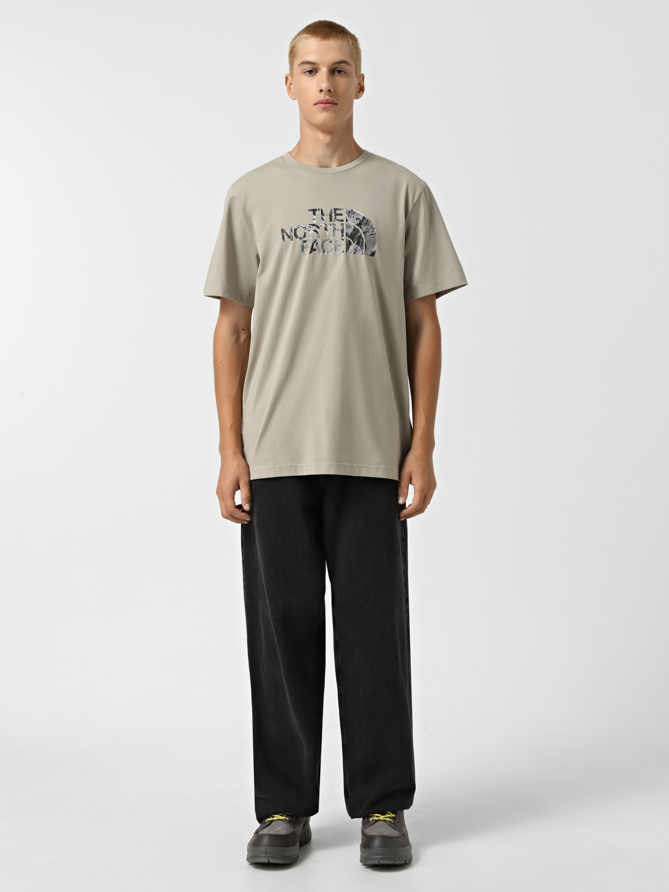 Футболка The North Face Easy Tee Graphic Infill модель NF0A8A3W9IT1 Фото
