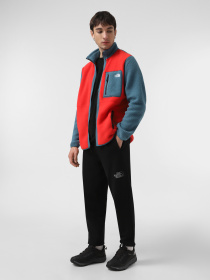 Джоггеры The North Face Drew Peak модель NF0A8A6BJK31 Фото