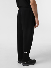 Джоггеры The North Face Drew Peak модель NF0A8A6BJK31 Фото