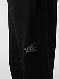 Джоггеры The North Face Drew Peak модель NF0A8A6BJK31 Фото