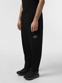 Брюки The North Face Drew Peak модель NF0A8A6BJK31 Фото