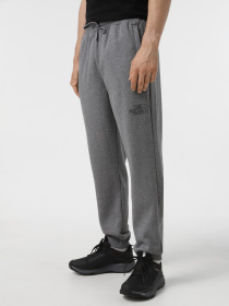 Повседневные штаны The North Face Drew Peak модель NF0A8A6BDYY1 Повседневные штаны The North Face Drew Peak модель NF0A8A6BDYY1 Фото