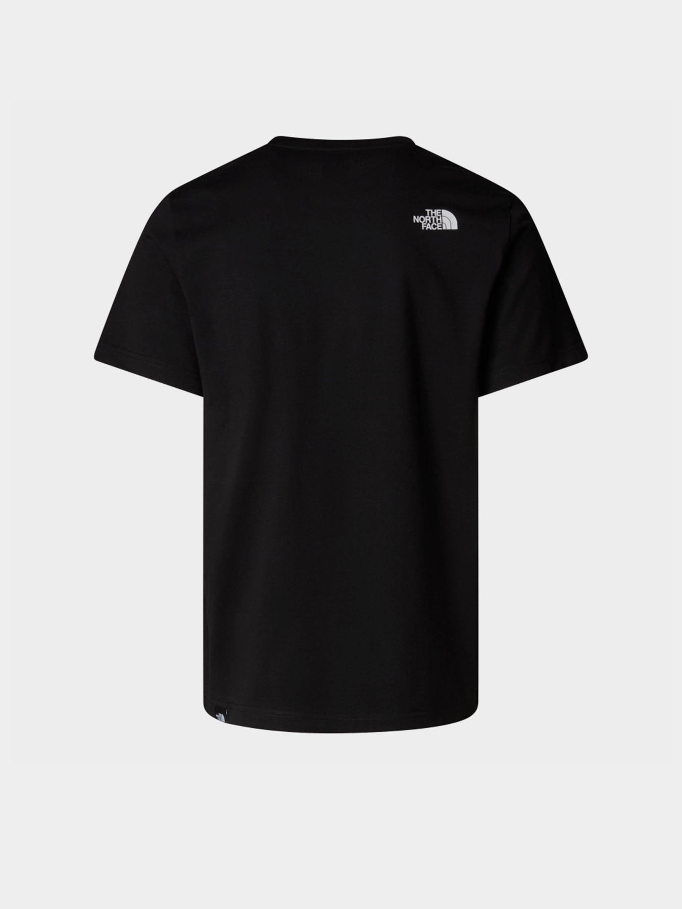 Футболка The North Face Easy модель NF0A8A6CJK31 Фото