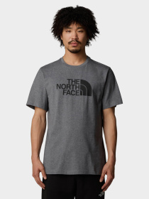 Футболка The North Face Easy модель NF0A8A6CDYY1 Фото